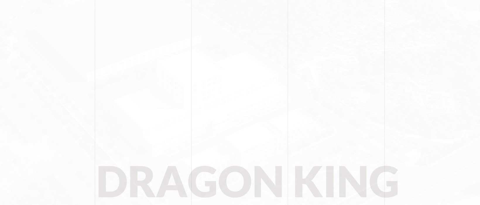 ABOUT DRAGON KING