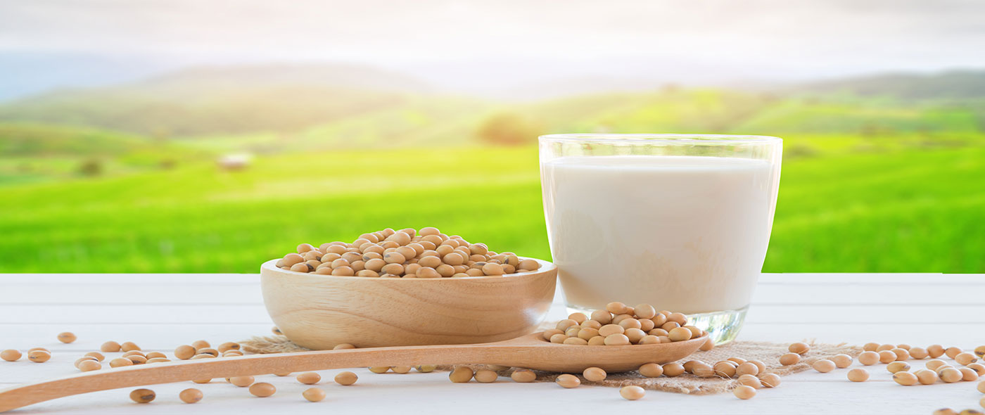 SOYBEAN POWDER SUPPLIER