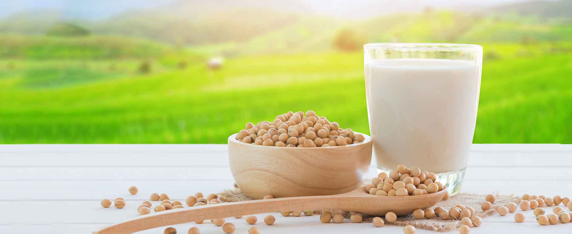 Sustainability of Soybean Milk Powder