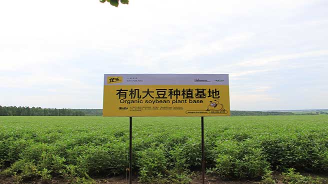 Soybean Production Base